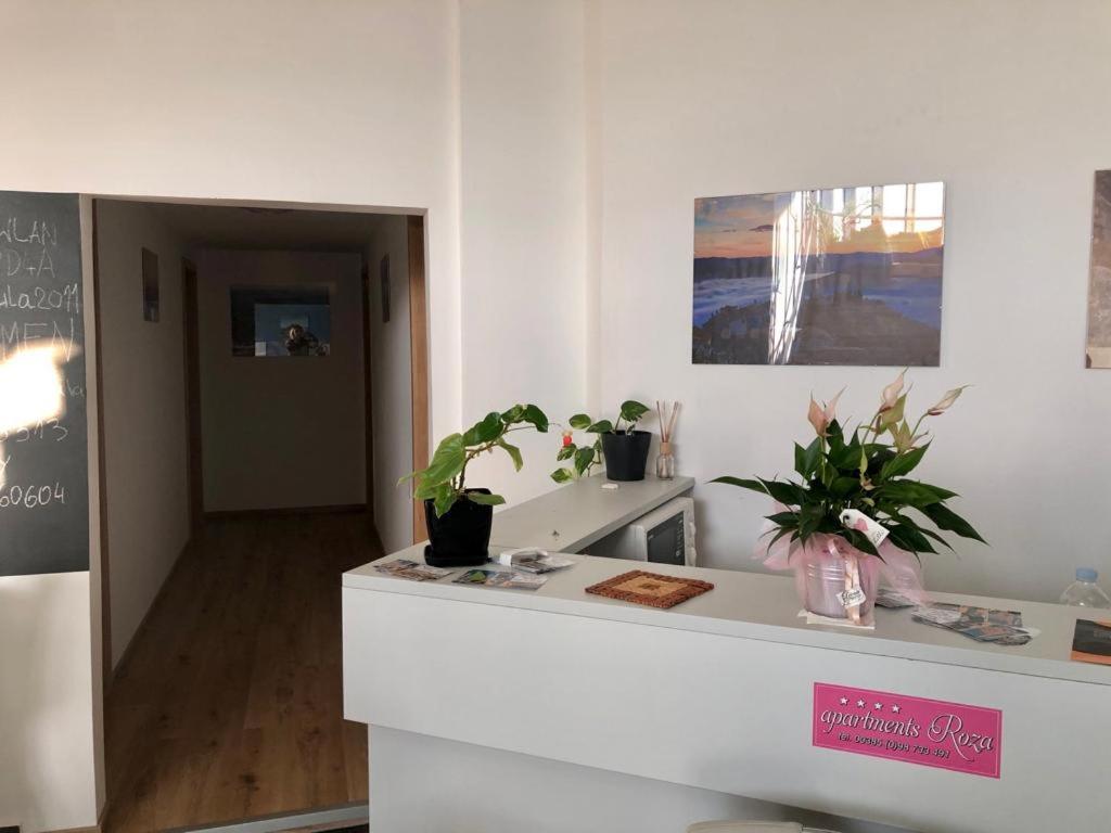 Apartmani Roza 普拉 外观 照片